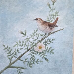 Set von 4 Original Aquarellen von europäischen Sing- und Gartenvögeln signiert von W. Bogsch (Deutsch)