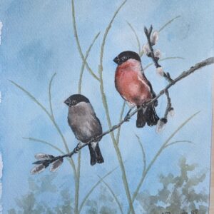 Set von 4 Original Aquarellen von europäischen Sing- und Gartenvögeln signiert von W. Bogsch (Deutsch)